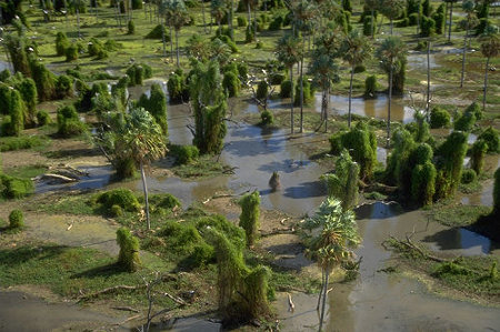 Parque Nacional Río Pilcomayo, Formosa, Argentina 0