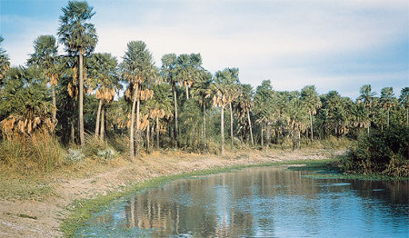 Parque Nacional Río Pilcomayo, Formosa, Argentina ⚠️ Ultimas opiniones 1