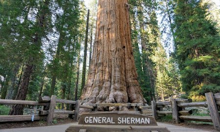 Parque Nacional Sequoia, California, EE. UU 🗺️ Foro América del Norte 0