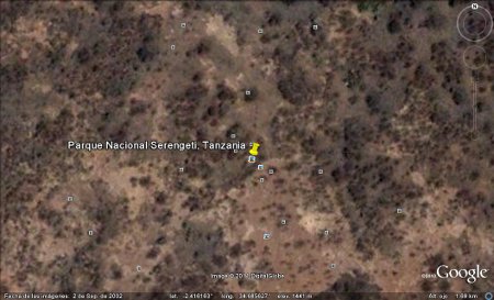Parque Nacional Serengeti, Tanzania 🗺️ Foro África 2