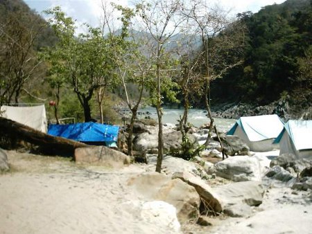 Parque Nacional Shivpuri, Madhya Pradesh, India 🗺️ Foro Asia 2