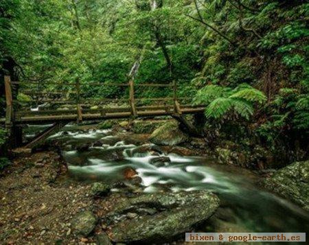 Parque Nacional Tenorio, Guanacaste, Guatuso, Costa Rica 🗺️ Foro América del Sur y Centroamérica 1