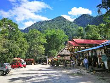 Parque Nacional Tingo Maria, Huánuco, Peru 0