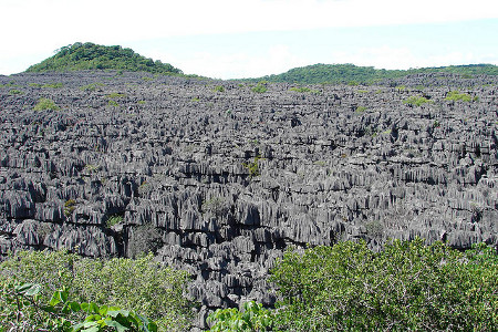 Parque Nacional Tsingy, Madagascar 0