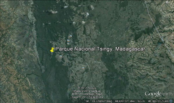 Parque Nacional Tsingy, Madagascar 2