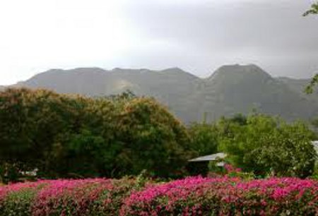 Parque Naciona del Valle de las Flores, Uttranchal, India 0