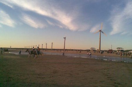 Parque Nacional Vansda, Gujarat, India 1