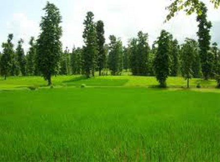 Parque Nacional Vansda, Gujarat, India 0