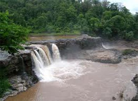 Parque Nacional Vansda, Gujarat, India 🗺️ Foro Asia 1