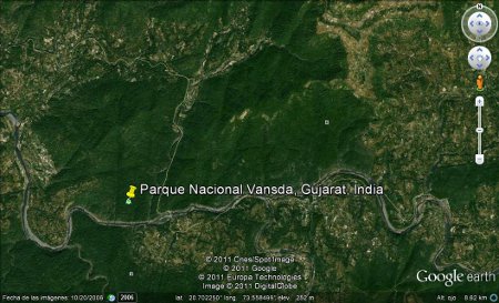 Parque Nacional Vansda, Gujarat, India 2