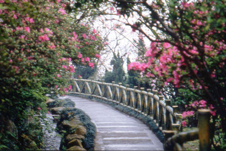 Parque Nacional Yangmingshan, isla Taiwan 1