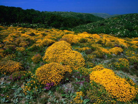 Parque Natural del Sudoeste Alentejano, Portugal 0