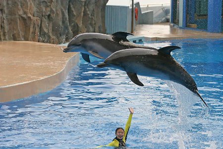 Parque Ocean, Hong Kong 2