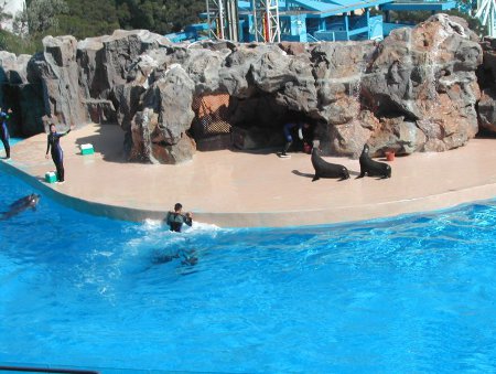 Parque Ocean, Hong Kong 🗺️ Foro China, el Tíbet y Taiwán 1