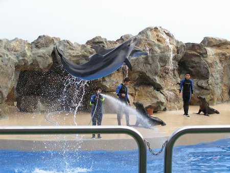 Parque Ocean, Hong Kong 🗺️ Foro China, el Tíbet y Taiwán 0