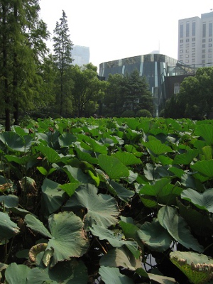 Parque Renmin, Chengdu, Sichuan, China 0