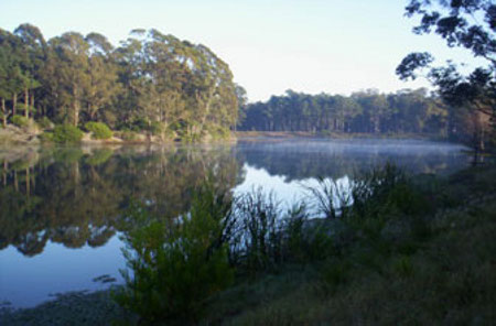 Parque Roosevelt, Carrasco, Montevideo, Uruguay 0