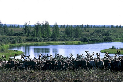 Parque Wudalianchi, Heilongjiang, China ⚠️ Ultimas opiniones 0