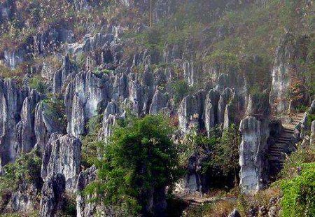 Parque Bosque de Piedra Xingwen, Sichuan, China 1