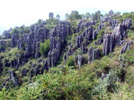 Parque Bosque de Piedra Xingwen, Sichuan, China 2