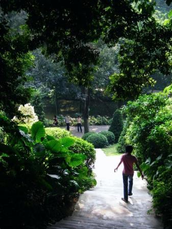 Parque Yuexiu, Guangzhou, China 1