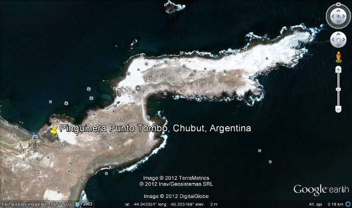 Pinguinera Punto Tombo, Chubut, Argentina 🗺️ Foro América del Sur y Centroamérica 2