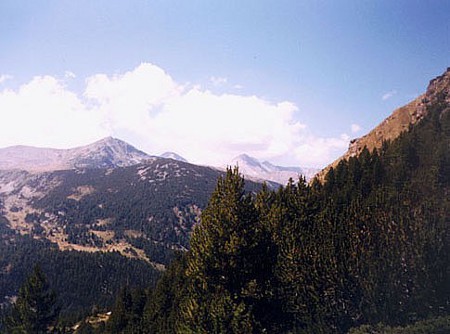 Parque Nacional de Pirin, Bulgaria 🗺️ Foro Europa 0