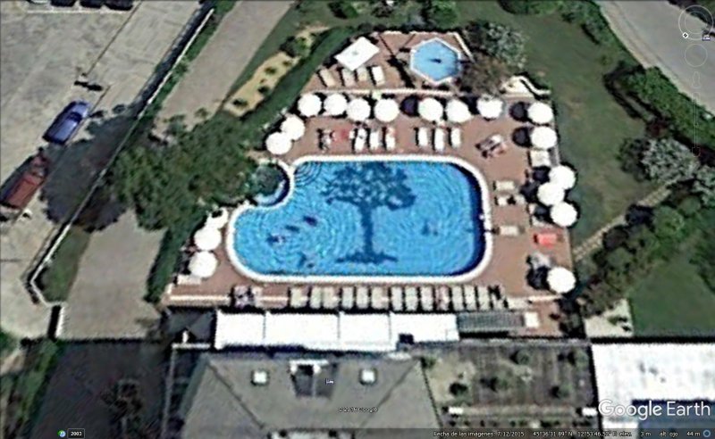 Piscina con árbol dentro, Italia 1 - Elefante en una piscina de Malaga 🗺️ Foro General de Google Earth