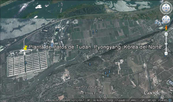 Planta de Patos de Tudan, Pyongyang, Korea del Norte 2