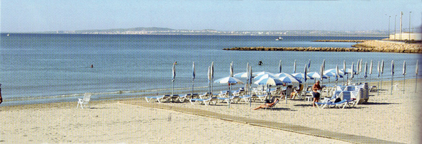 SANTA POLA- Sus playas 0