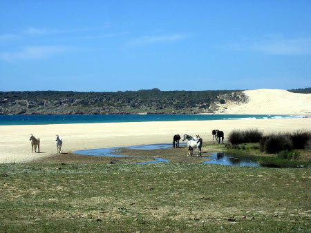 Playa Bolonia, Cadiz, España 0