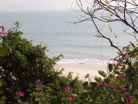 Playa Cheung Sha, Hong Kong 1