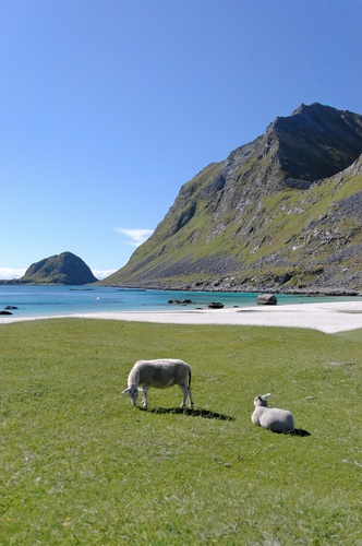 Playa de Haukland, Leknes, Lofoten, Noruega 0