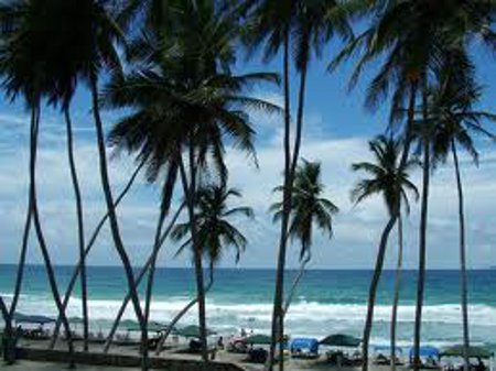 Playa El Agua, Isla Margarita, Venezuela 0