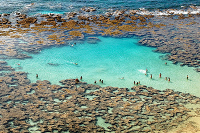 playa Hanauma, Honolulu, Hawaii, EEUU 0