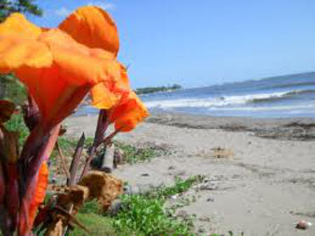 Playa Managua, Baracoa, Guantanamo, Cuba 🗺️ Foro América del Sur y Centroamérica 1