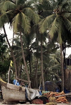 Playa Palolem,  Goa, India 1