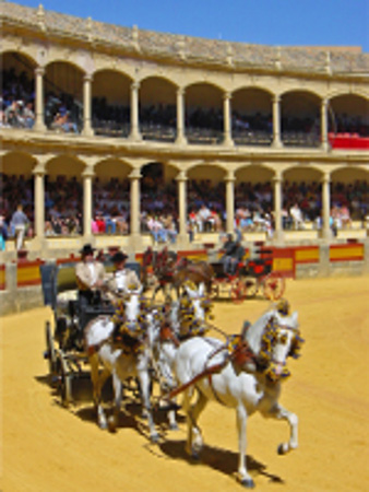 Plaza de toros, Ronda, Andalucia 0