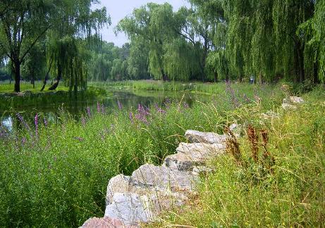 Parque Yuanmingyuan, Beijing, China 0