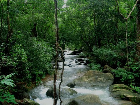 Ponmundi, Kerala, India 0