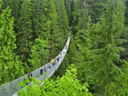 Puente Colgante, Vancouver, Columbia Britanica, Canada 0