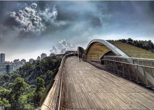 El Puente Henderson, Singapur 🗺️ Foro de Ingenieria