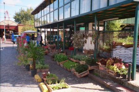 Puerto de Frutos, Tigre, Buenos Aires, Argentina 0