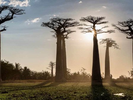 Puerto de Nosy-Be, Andoany, Madagascar 🗺️ Foro África 0