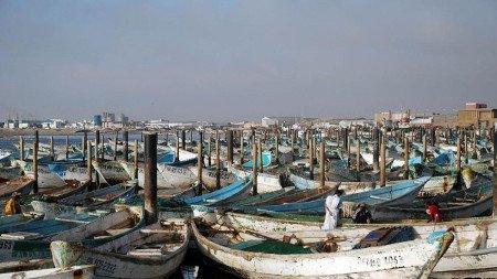 PATERAS en Puertos de Mauritania Dispuestos asaltar Canarias ⚠️ Ultimas opiniones 1