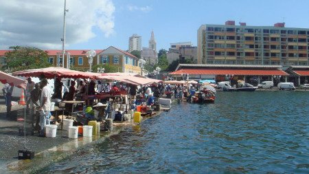 Puerto de Pitre, Isla de Guadalupe 0