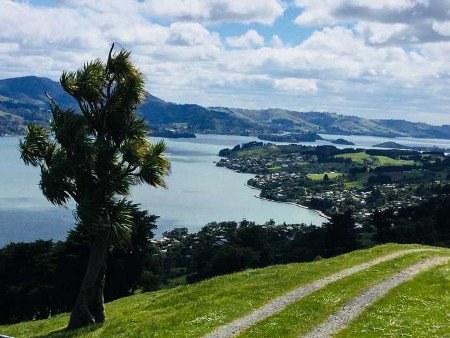 Puerto de Port Chalmers, Nueva Zelanda 🗺️ Foro Oceanía 0