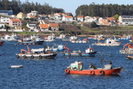 Puerto Isla de Arosa, Pontevedra 0