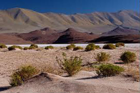 Puna de Atacama, Los Andes, Salta, Argentina 1