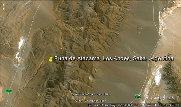 Puna de Atacama, Los Andes, Salta, Argentina 2